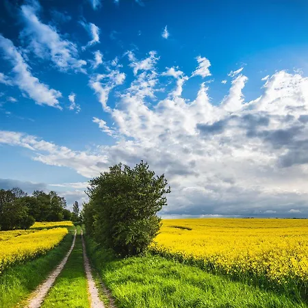 Asgard Tatil Evi Olpenitz